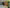 Nachher_Bild_Wandpaneele_aus_Massivholz_von_Luxurywood
