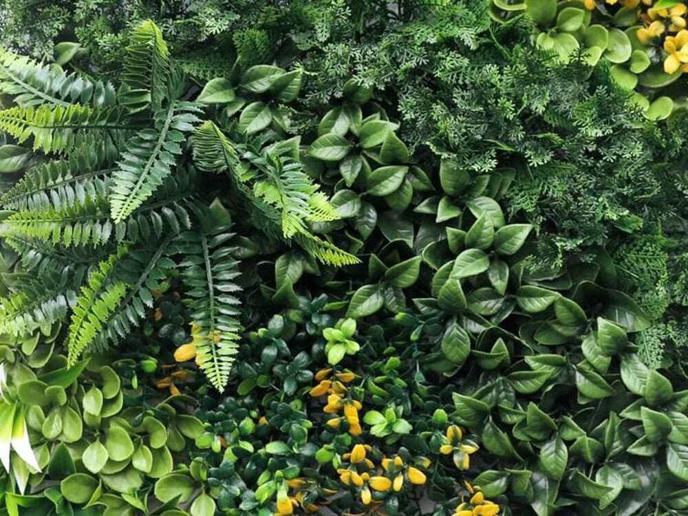 Kunstpflanze – Hedera Pflanzenwand 50x50 cm, grüne Wandgestaltung