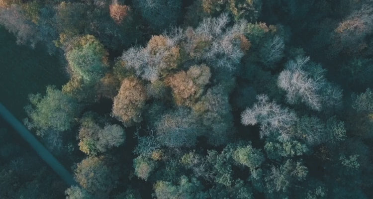 Unsere Mission: Stilvolle Massivholzmöbel nachhaltig und individuell gefertigt